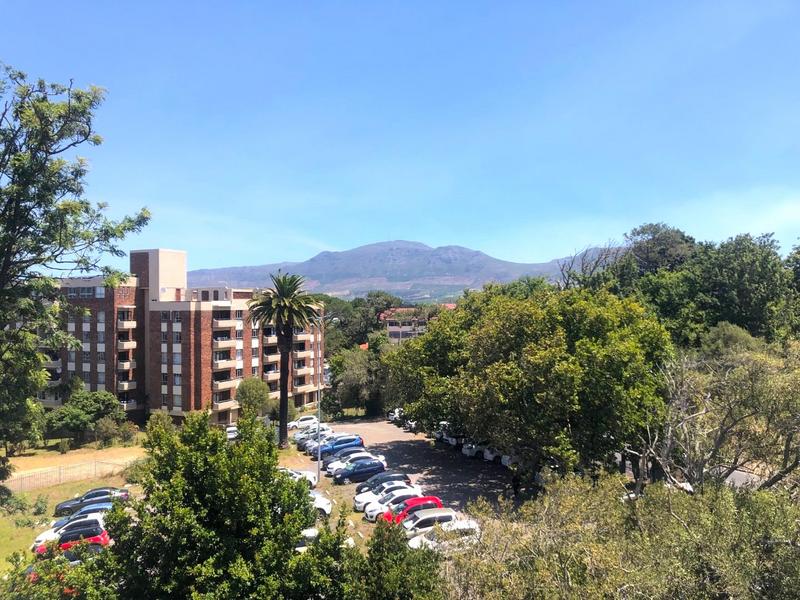 To Let 0 Bedroom Property for Rent in Wynberg Western Cape